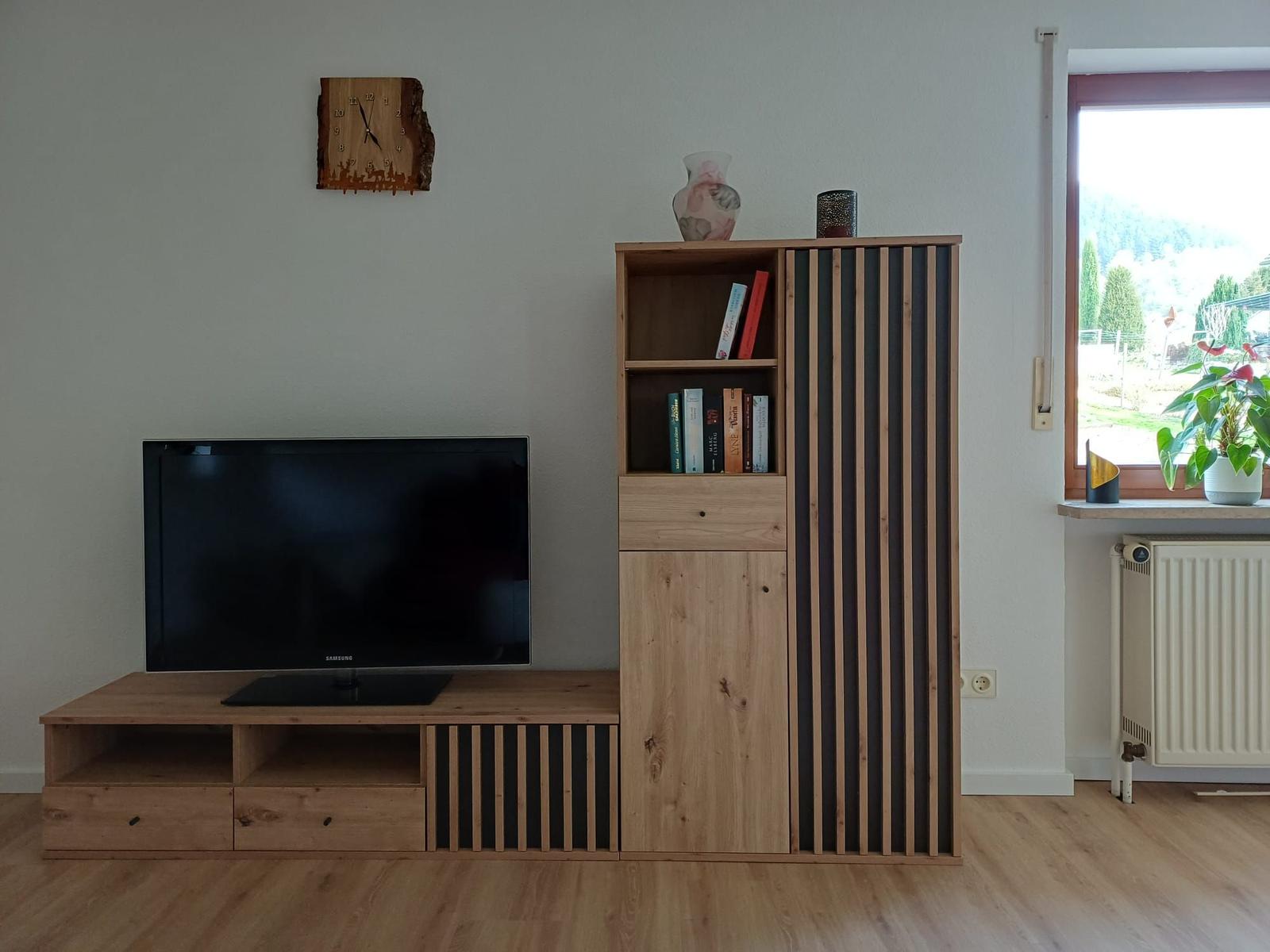 TV auf Holzregal, Bücher und Pflanze am Fenster