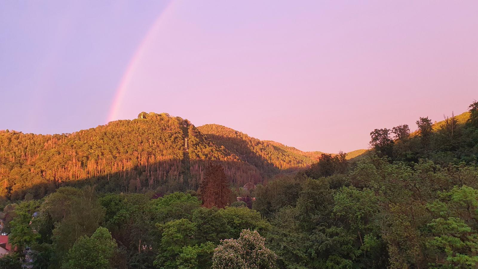 Der Ausblick vom Balkon  - direkte Sicht zum Burgberg