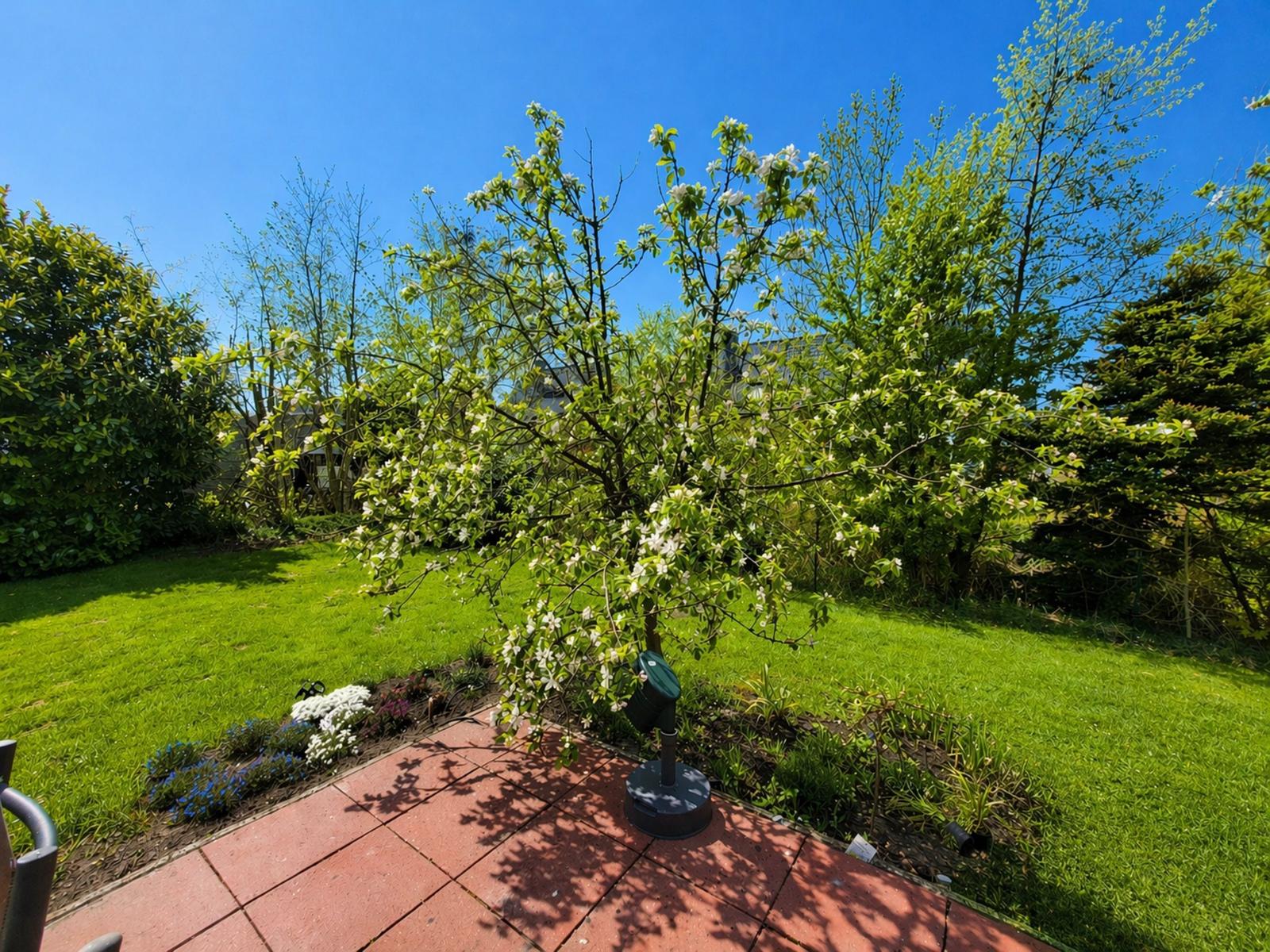 Gartenblick