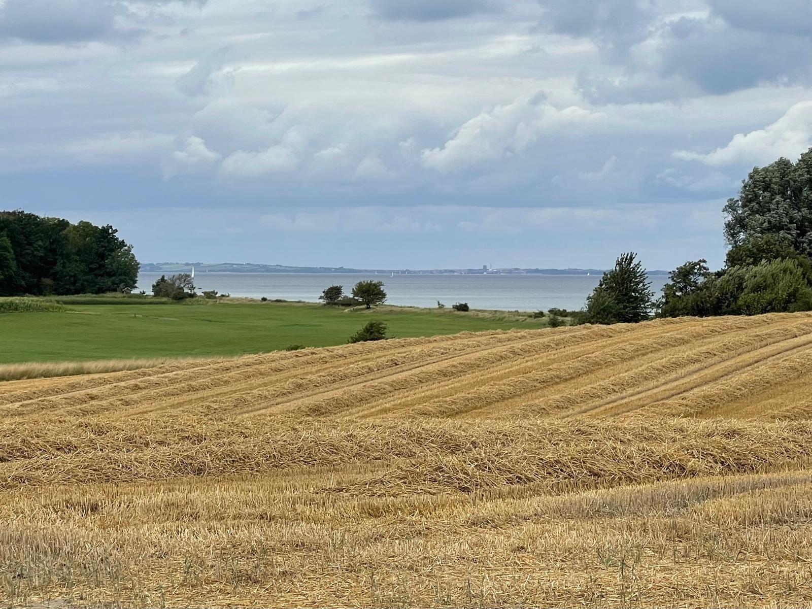 Landschaft