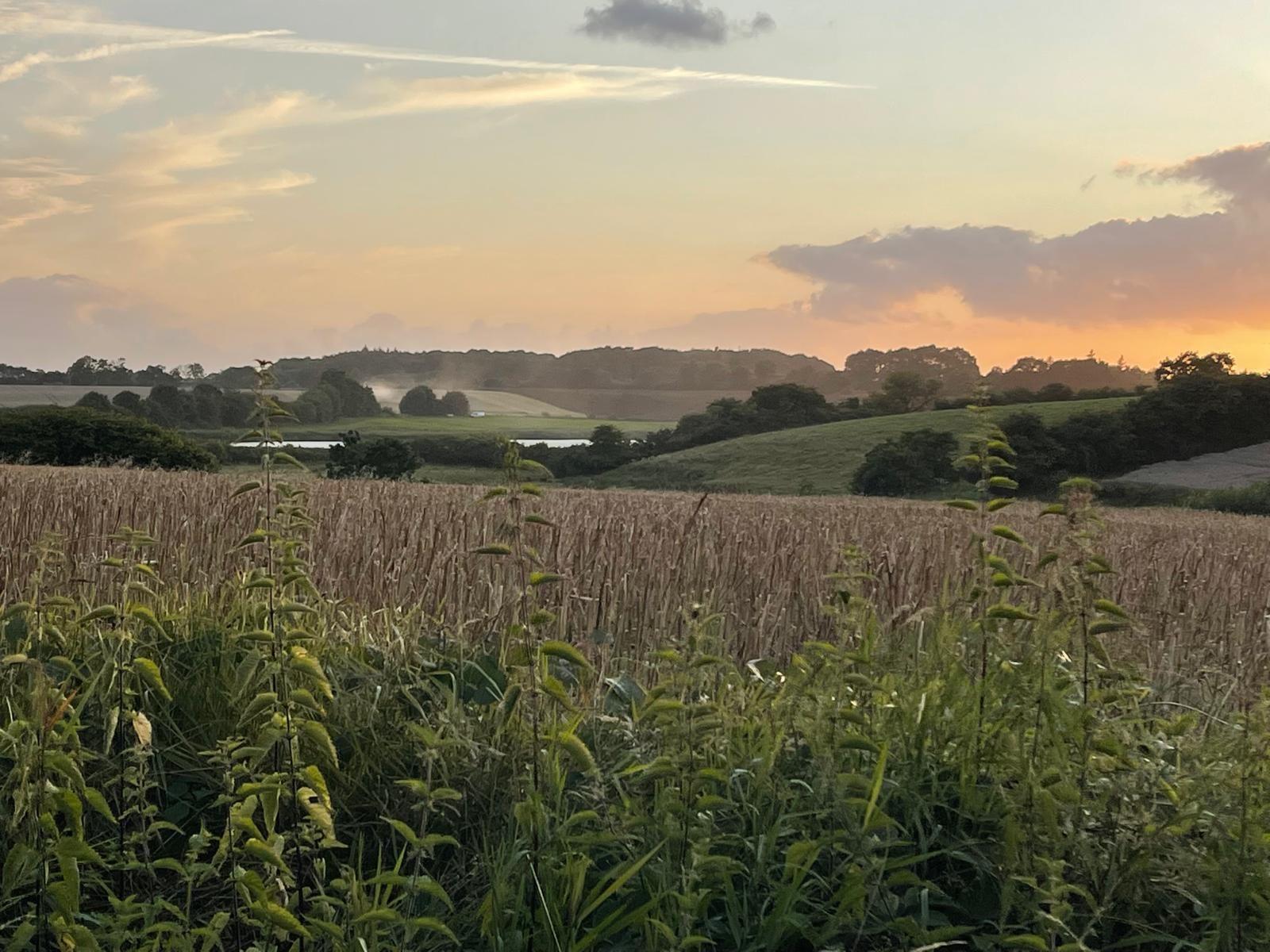 Landschaft
