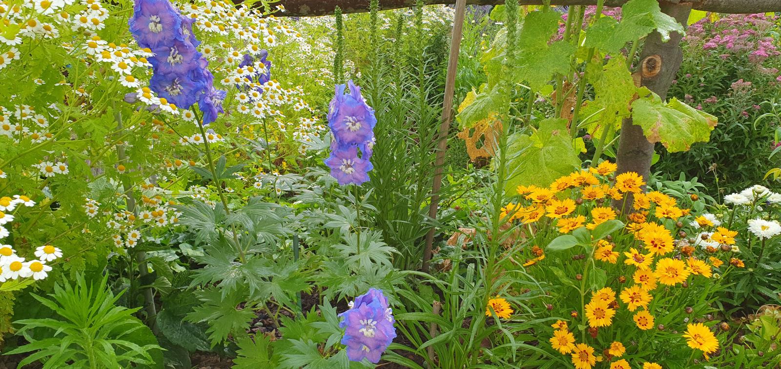 Garten und Terrassen