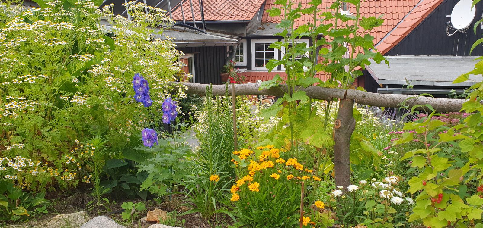 Garten und Terrassen
