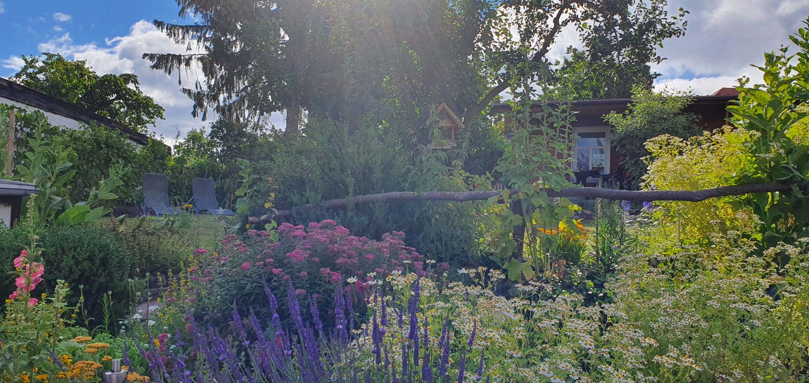 Garten und Terrassen