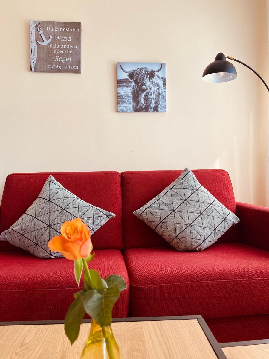 Roter Sofa mit Kissen und Wandbildern. Orange Rose auf Tisch.