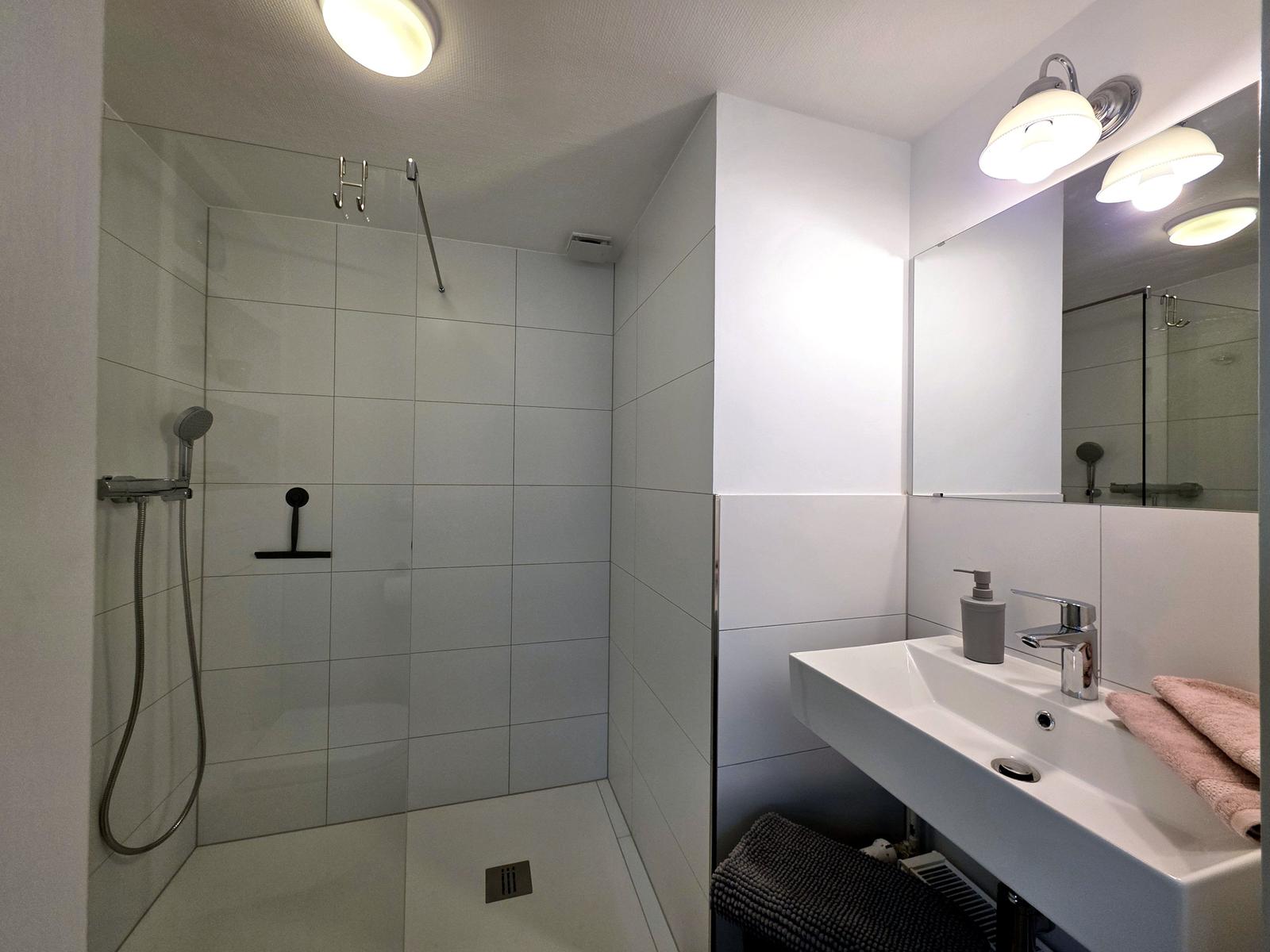 Neues Duschbad mit Walkin Dusche