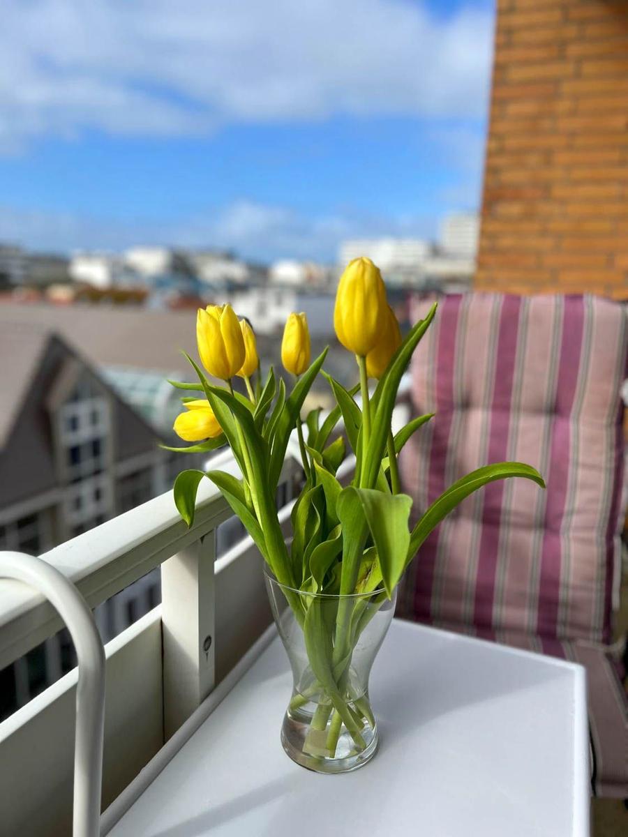 Blumen auf Balkon mit Stadtblick