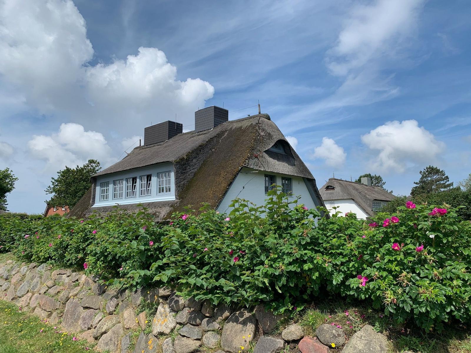 Haus mit Strohdach, Rosenhecke und Steinmauer unter blauem Himmel.