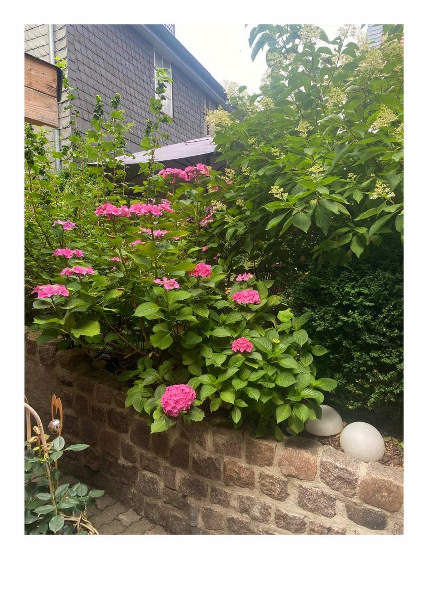 Gartenaufgang
