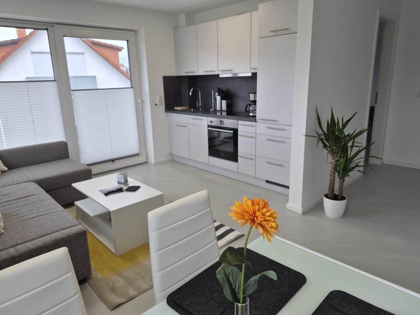Wohnbereich mit Küche, Sofa und Esstisch. Fenster mit Jalousien und Zimmerpflanze.