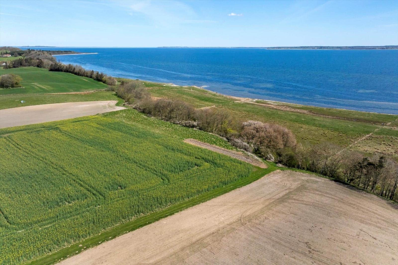 Extensive landscape with fields and coast. Blue sea and green meadows.