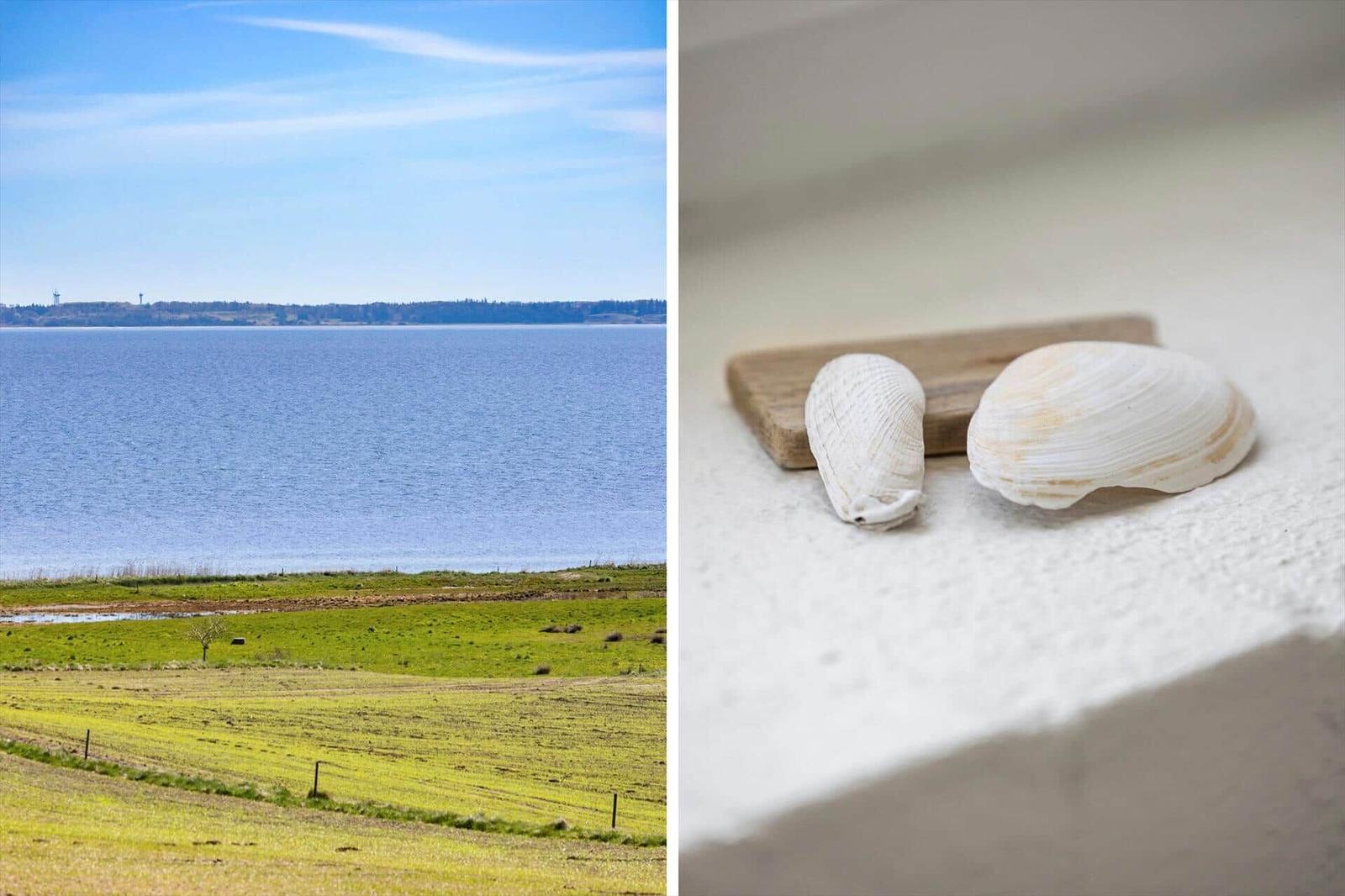 View of a lake with green meadows in the foreground and a wooden piece with two shell creatures.