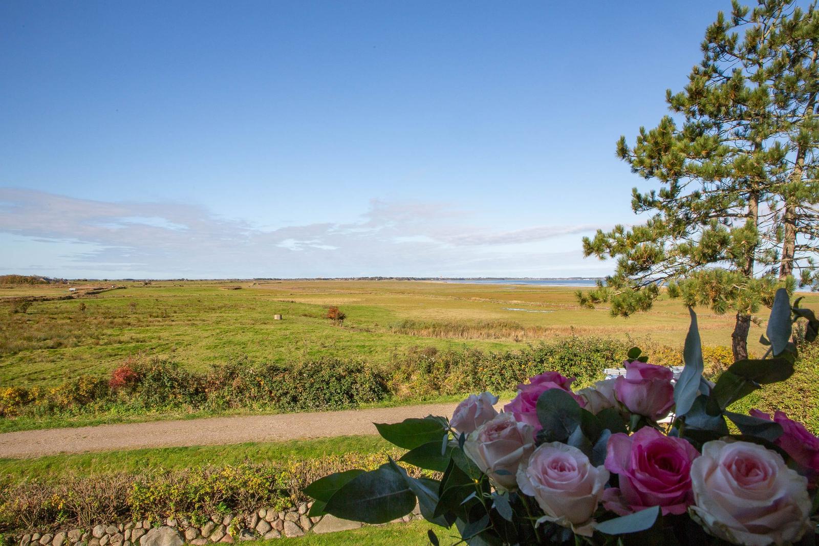 Weitläufiges Grünland mit Blick auf Wasser und einen Baum mit Blumen im Vordergrund.