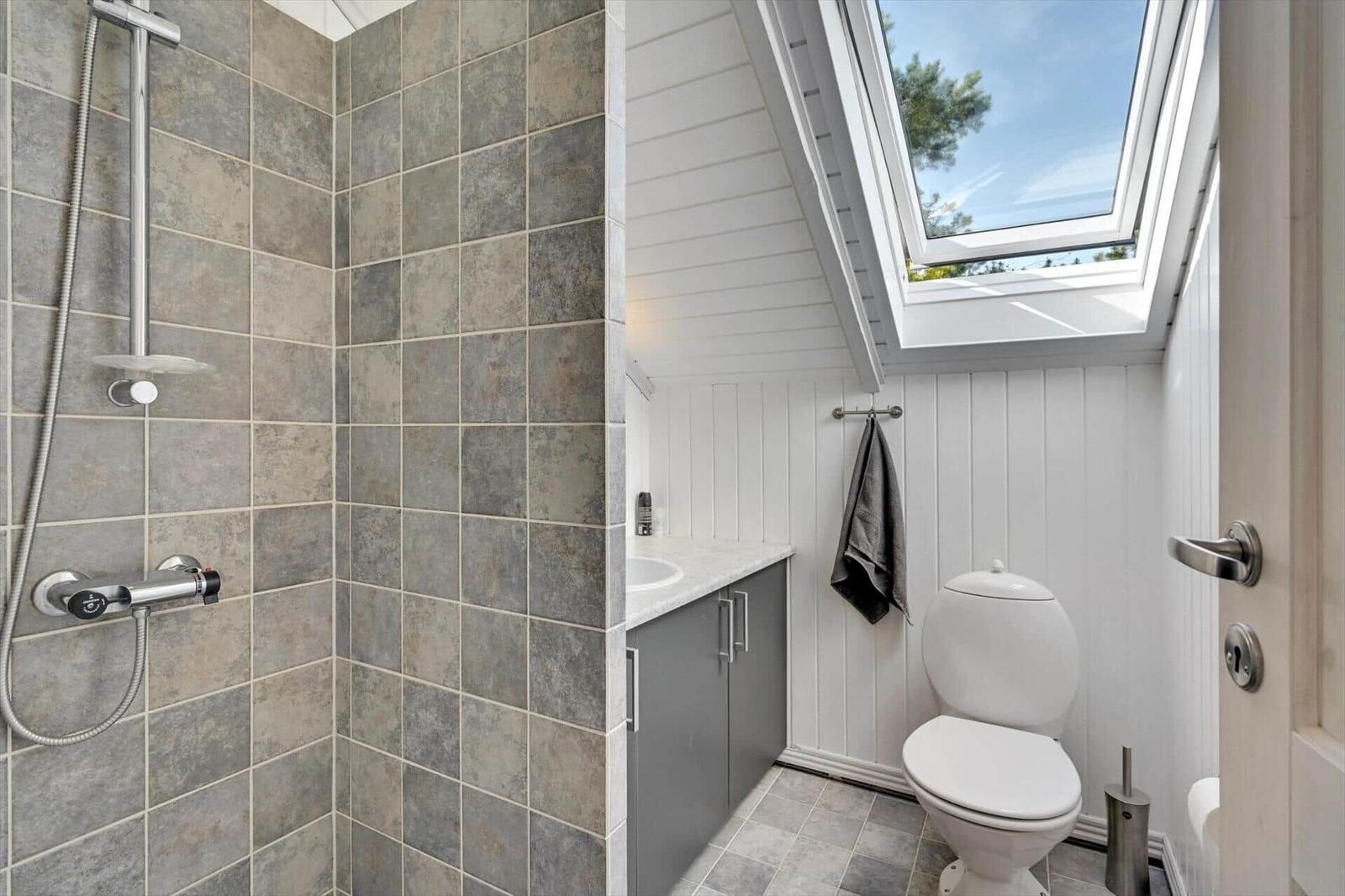 Bathroom with shower, toilet, and sink under skylight.