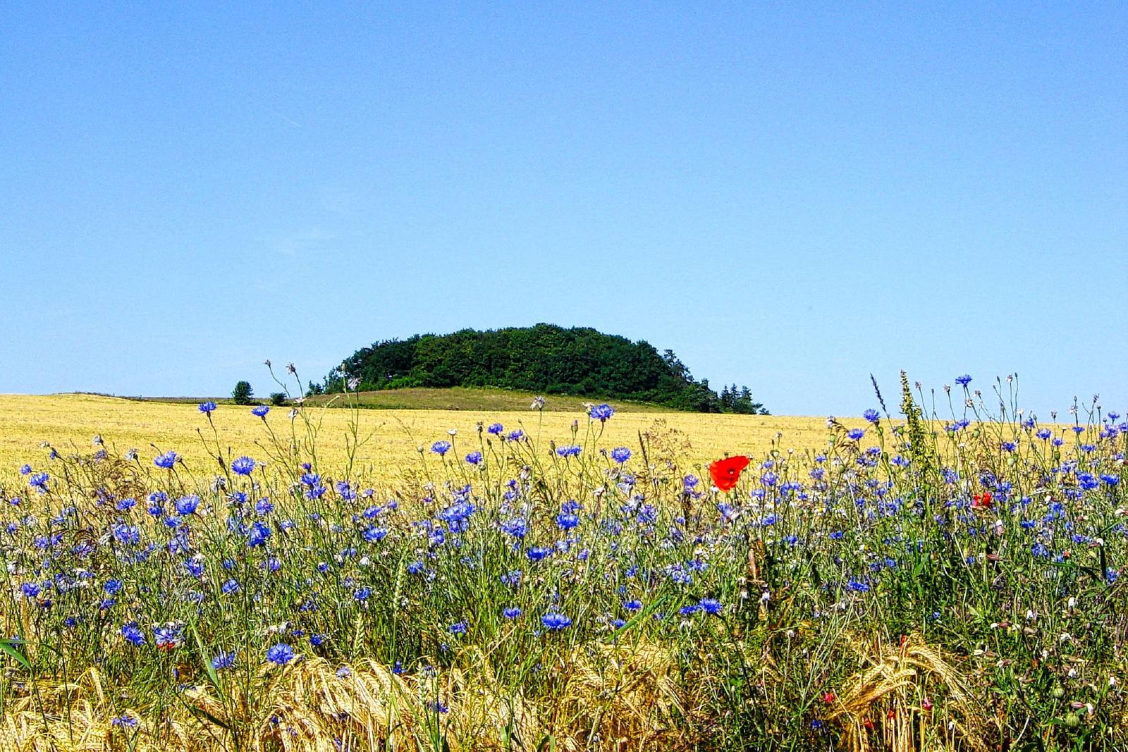 Landschaft