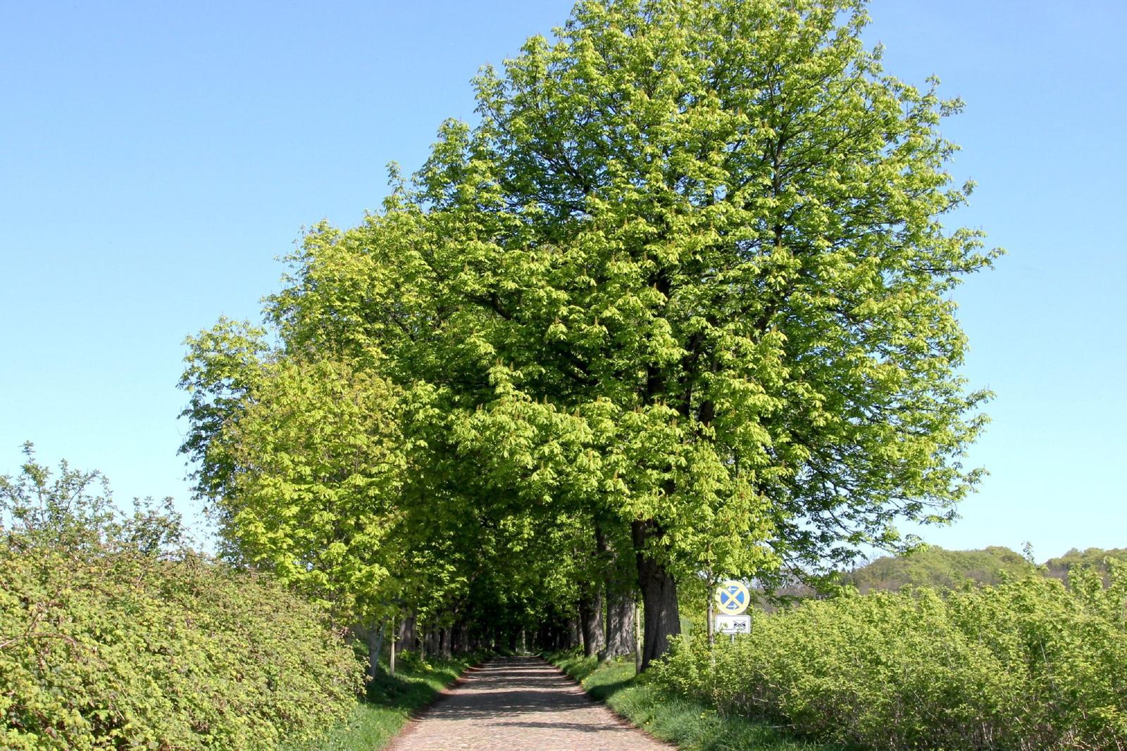 Landschaft