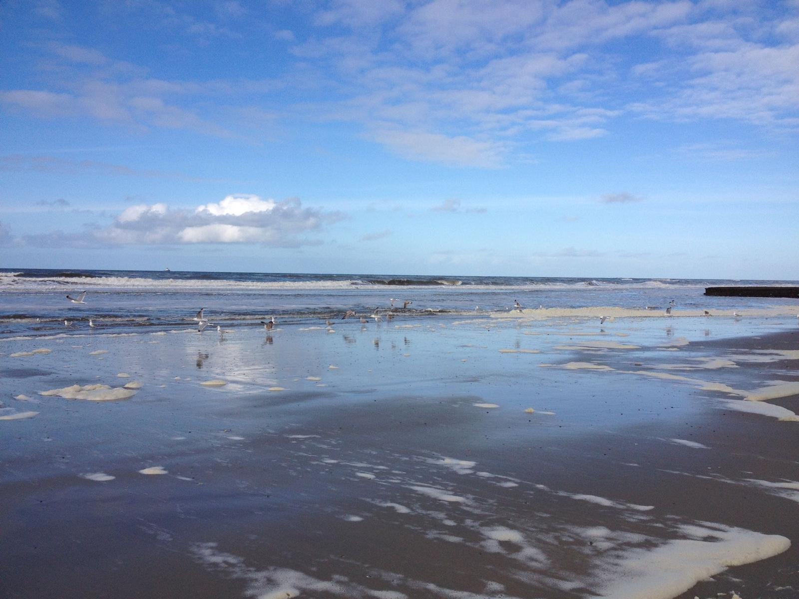 Strand