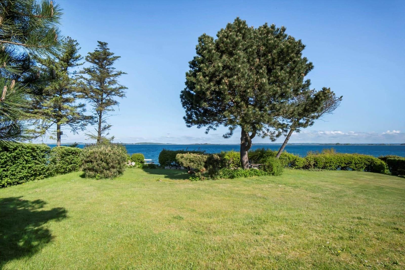 Green lawn with trees and view of the sea.