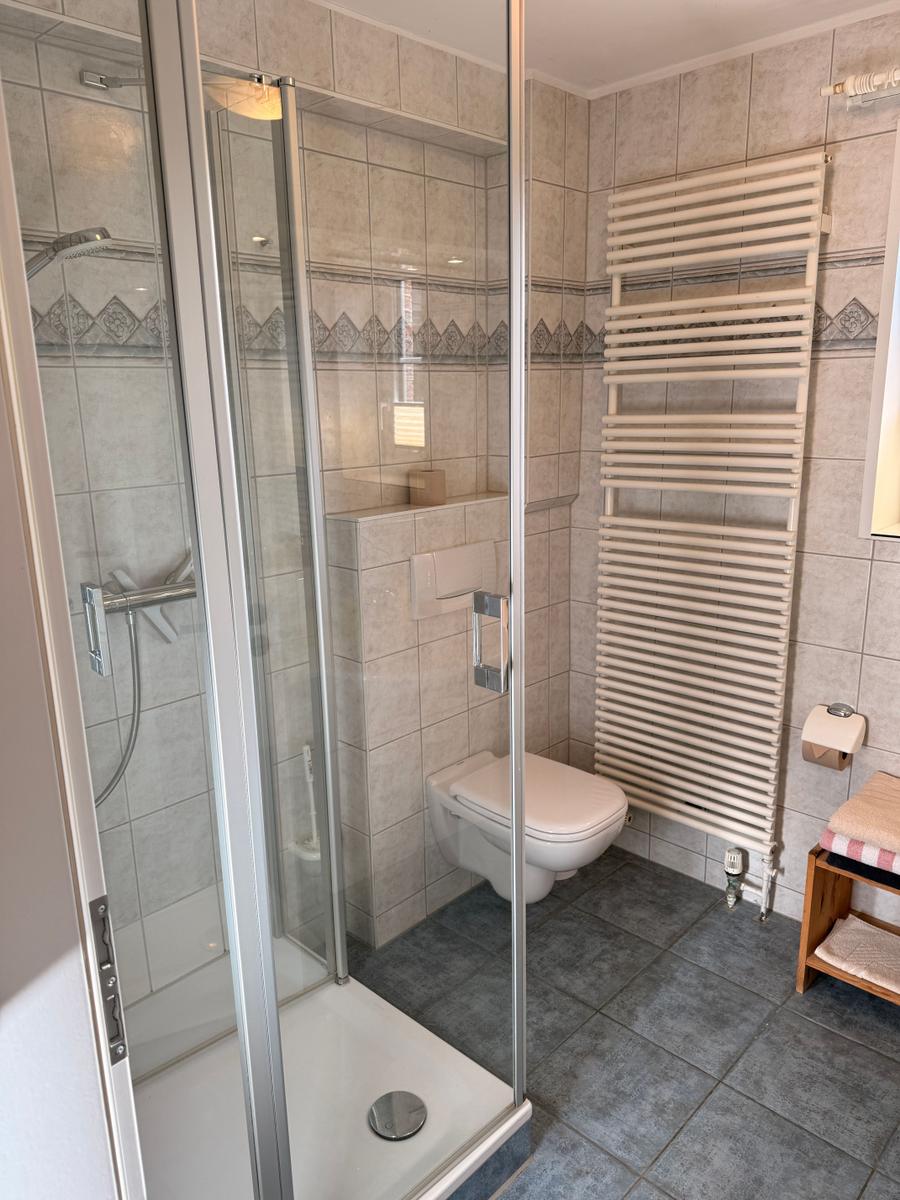 Bad mit Dusche, Toilette und Heizkörper an der Wand.