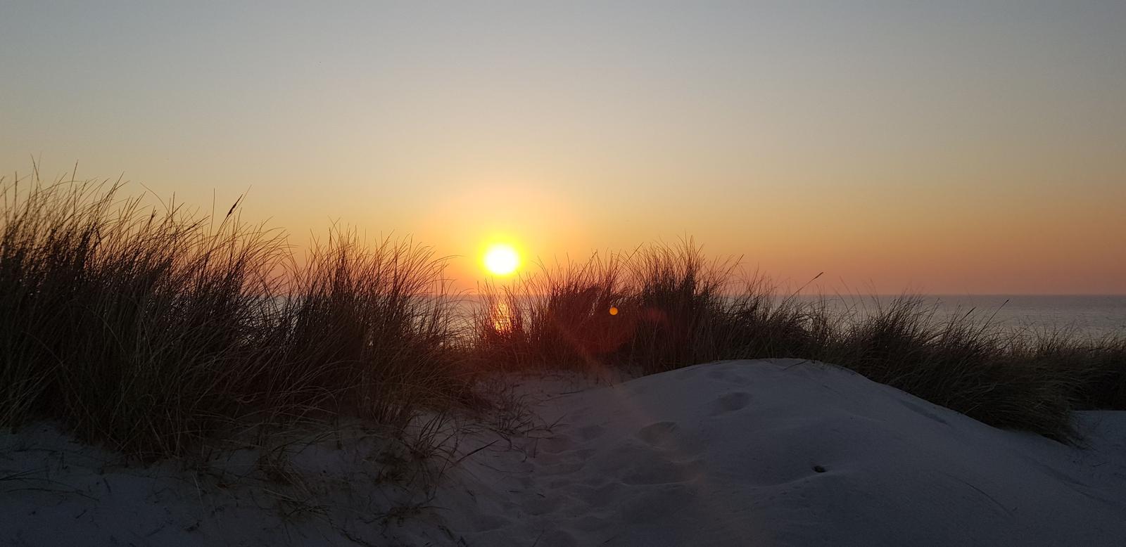 Sonnenuntergang über dem Meer mit Dünen und Strandgras im Vordergrund.