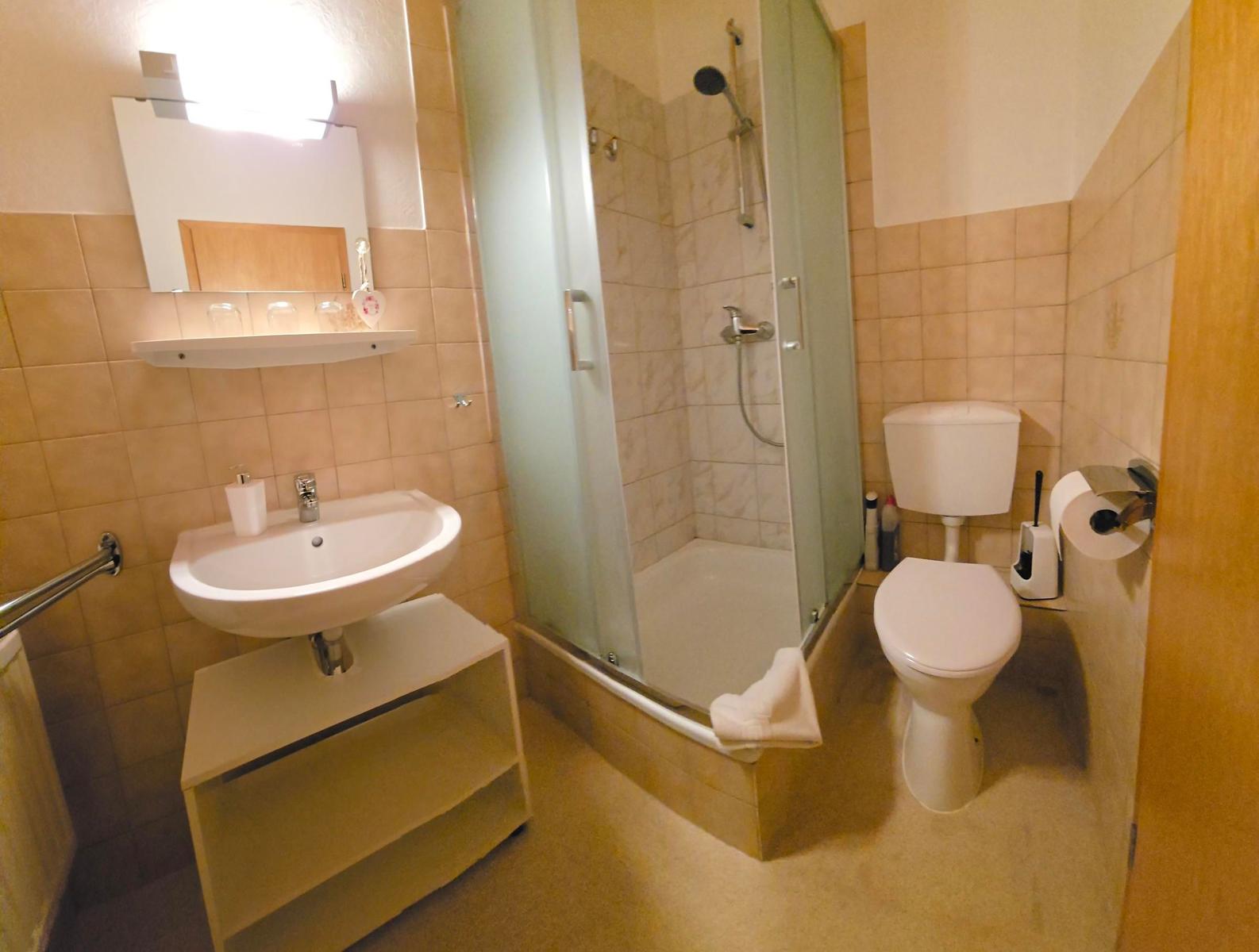 Bad mit Dusche, Toilette und Waschbecken mit Spiegelschrank