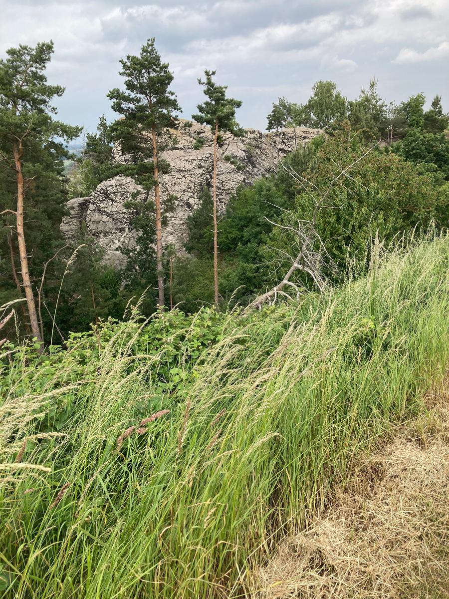 nahe am Haus - wunderschöne Natur