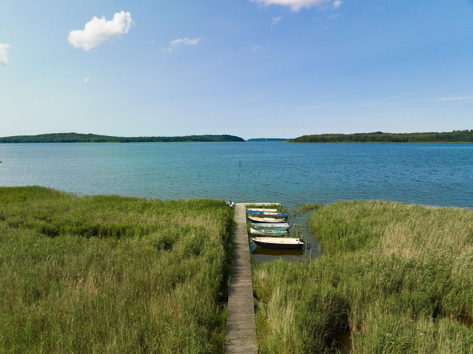 Wooden pier leads to boats at the shore of a lake with grassland and forest in the background.