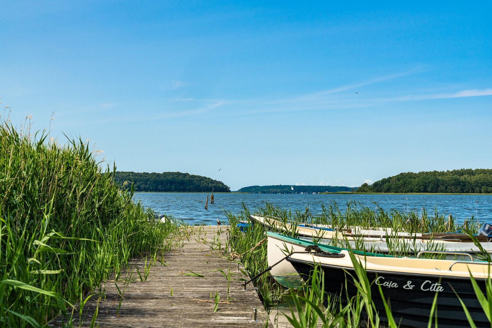 Wooden dock leads to boats at the shore of a lake with grass and trees in the background.
