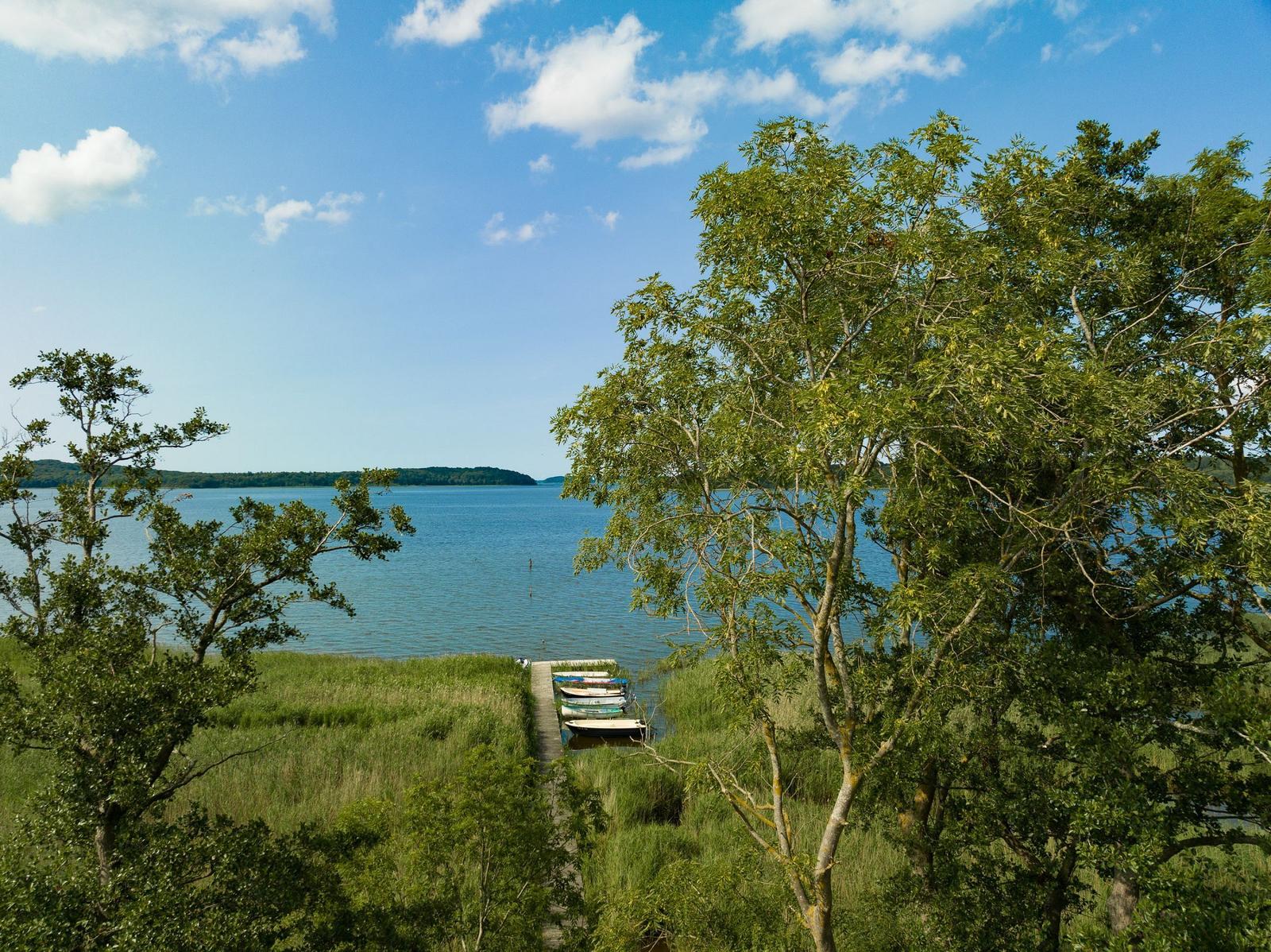 Dock with boats at the lake, surrounded by trees and grass.