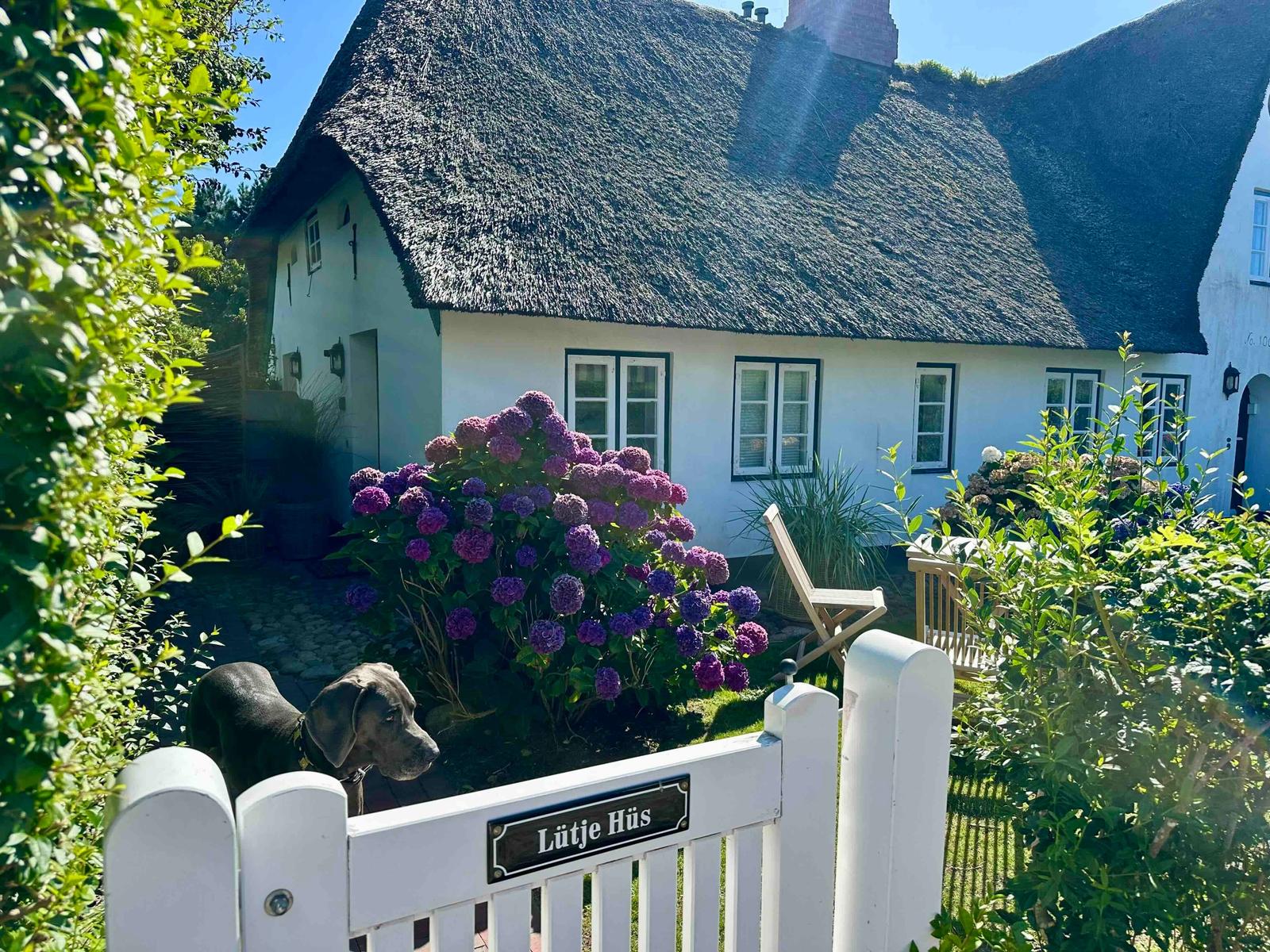 Ein weißes Haus mit Strohdach, Blumenbeet und Hund hinter weißem Zaun.
