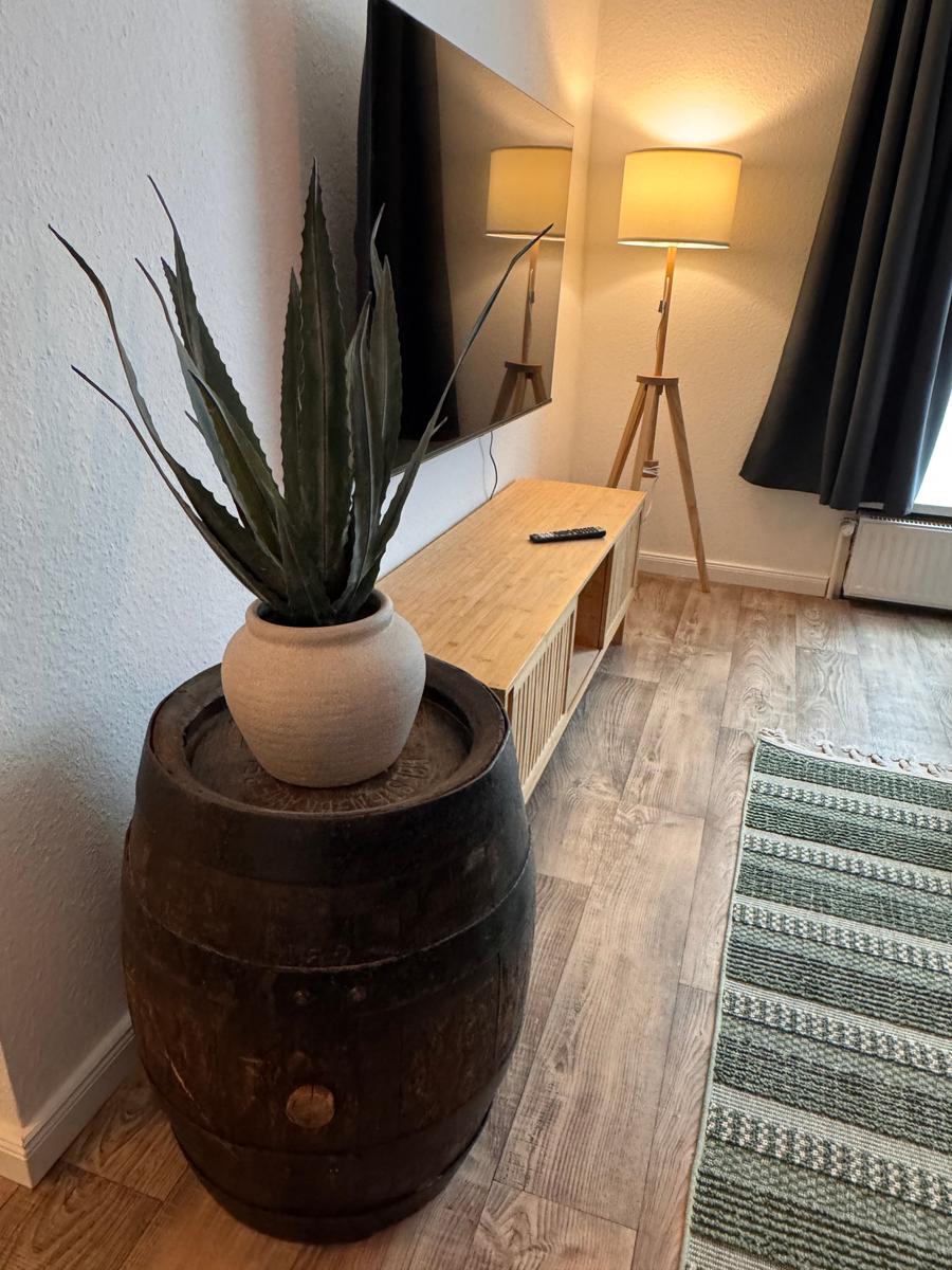 Ein Raum mit Holzboden, Fernseher, Stehlampe und Pflanze in Fass.