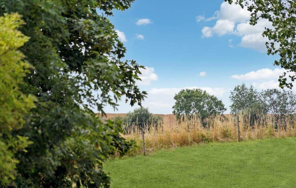 Green field with trees and blue sky with white clouds.