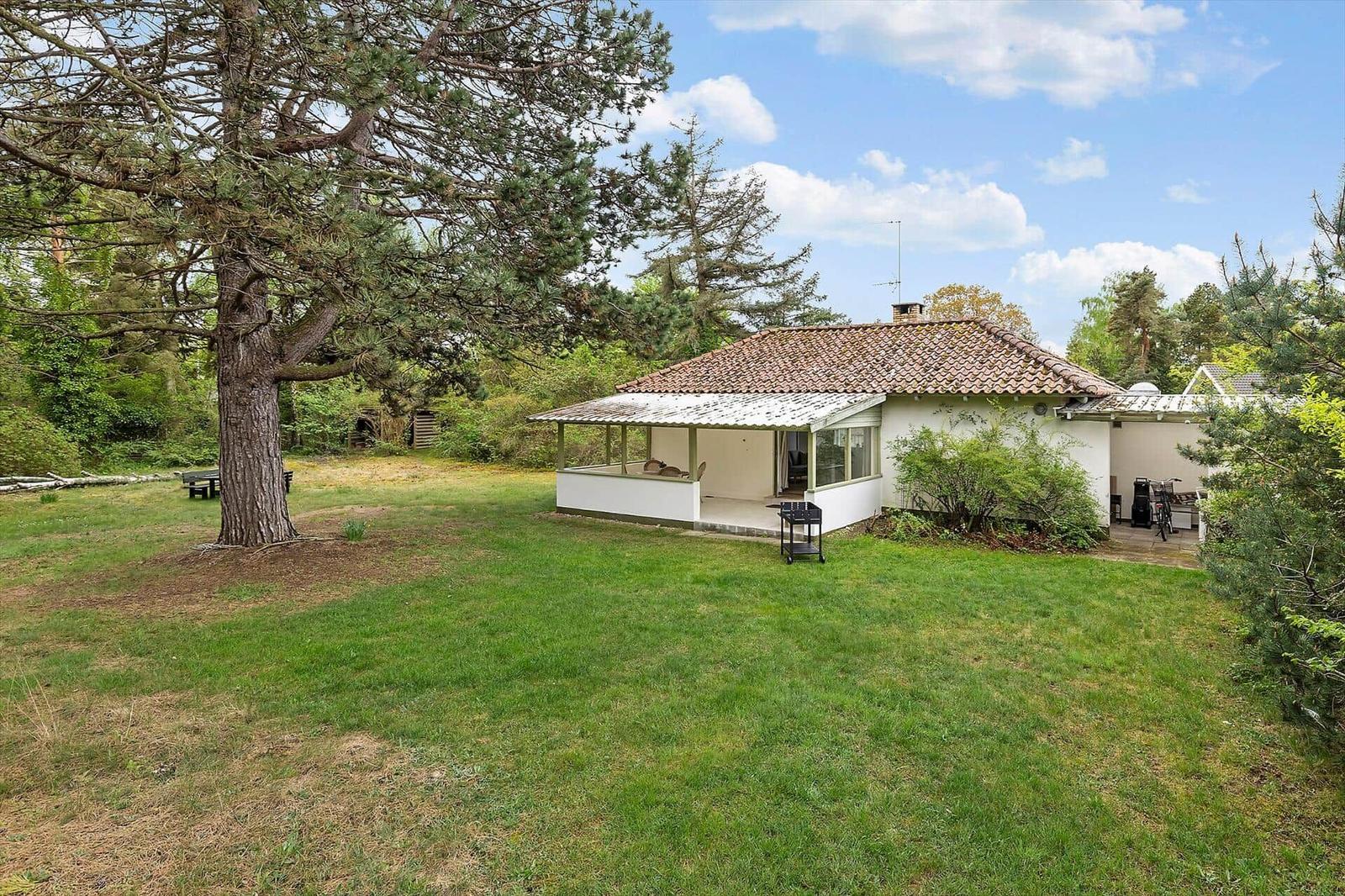 House with terrace and garden among trees