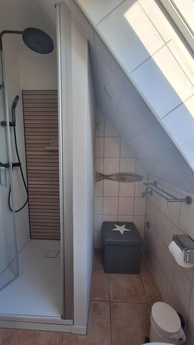 Dusche mit Duschwand, Toilette und Sitzkasten mit Stern. Dachschrägen-Dach mit Fenster.