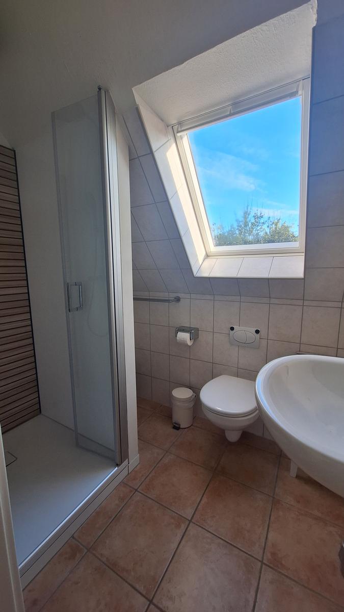 Badezimmer mit Dusche, WC und Waschbecken. Dachfenster mit Blick auf Himmel und Bäume.