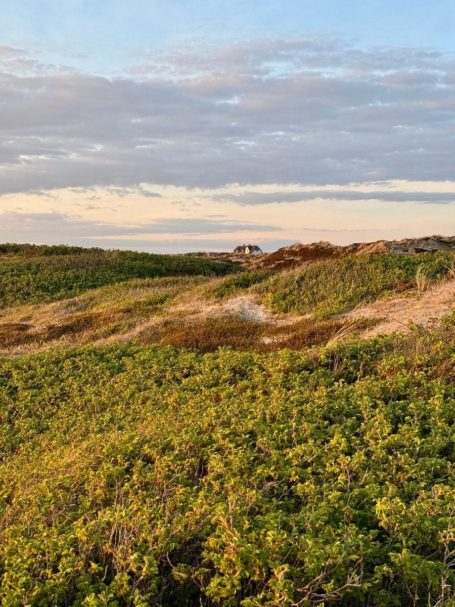 Dünenlandschaft mit Blick auf ein Haus im Hintergrund.