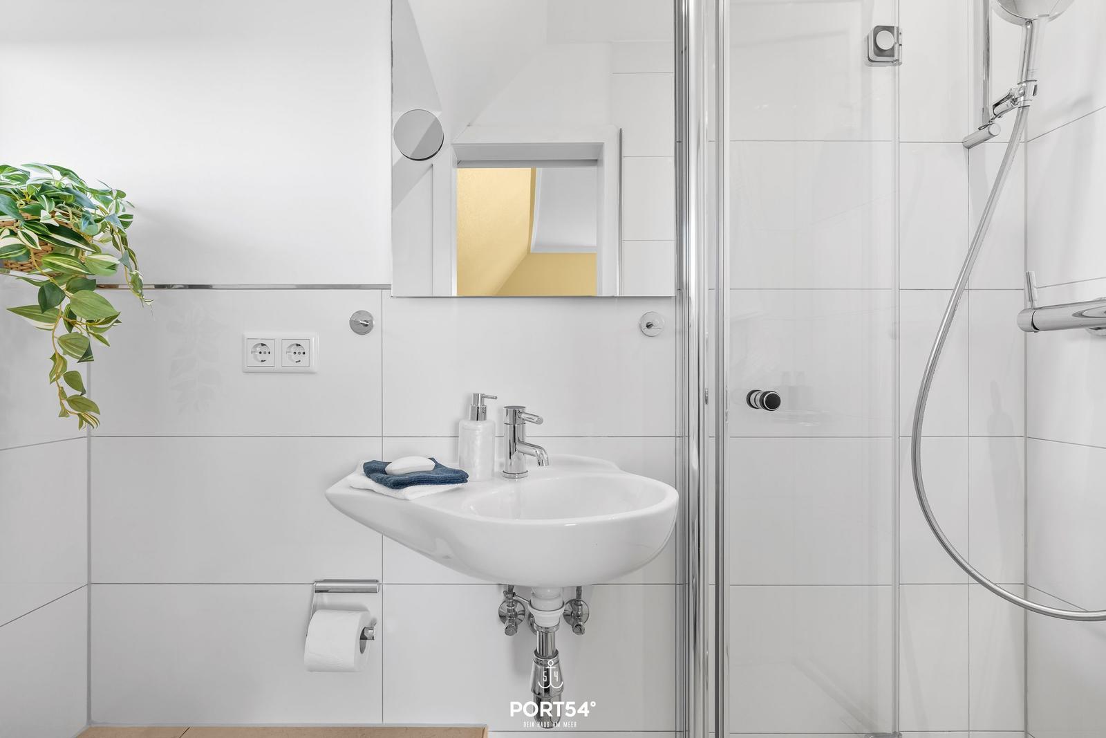Bathroom with shower, sink, and plant.