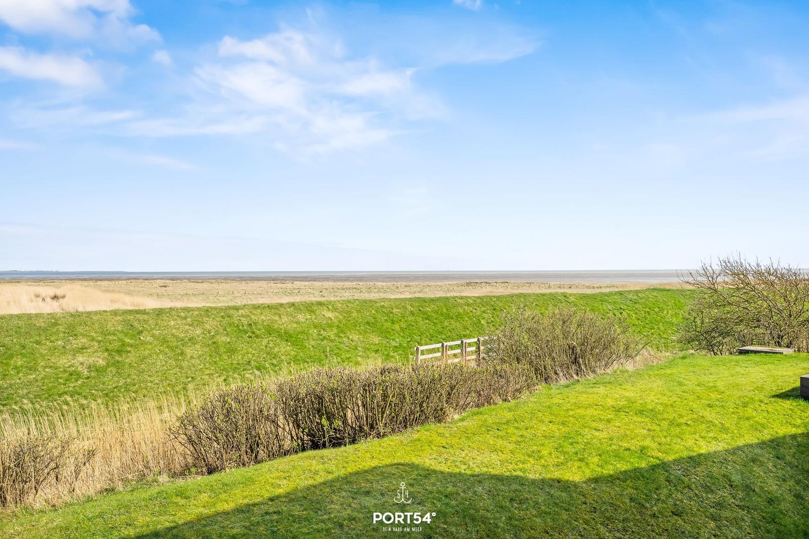 Green field with hedge and fence under blue sky.