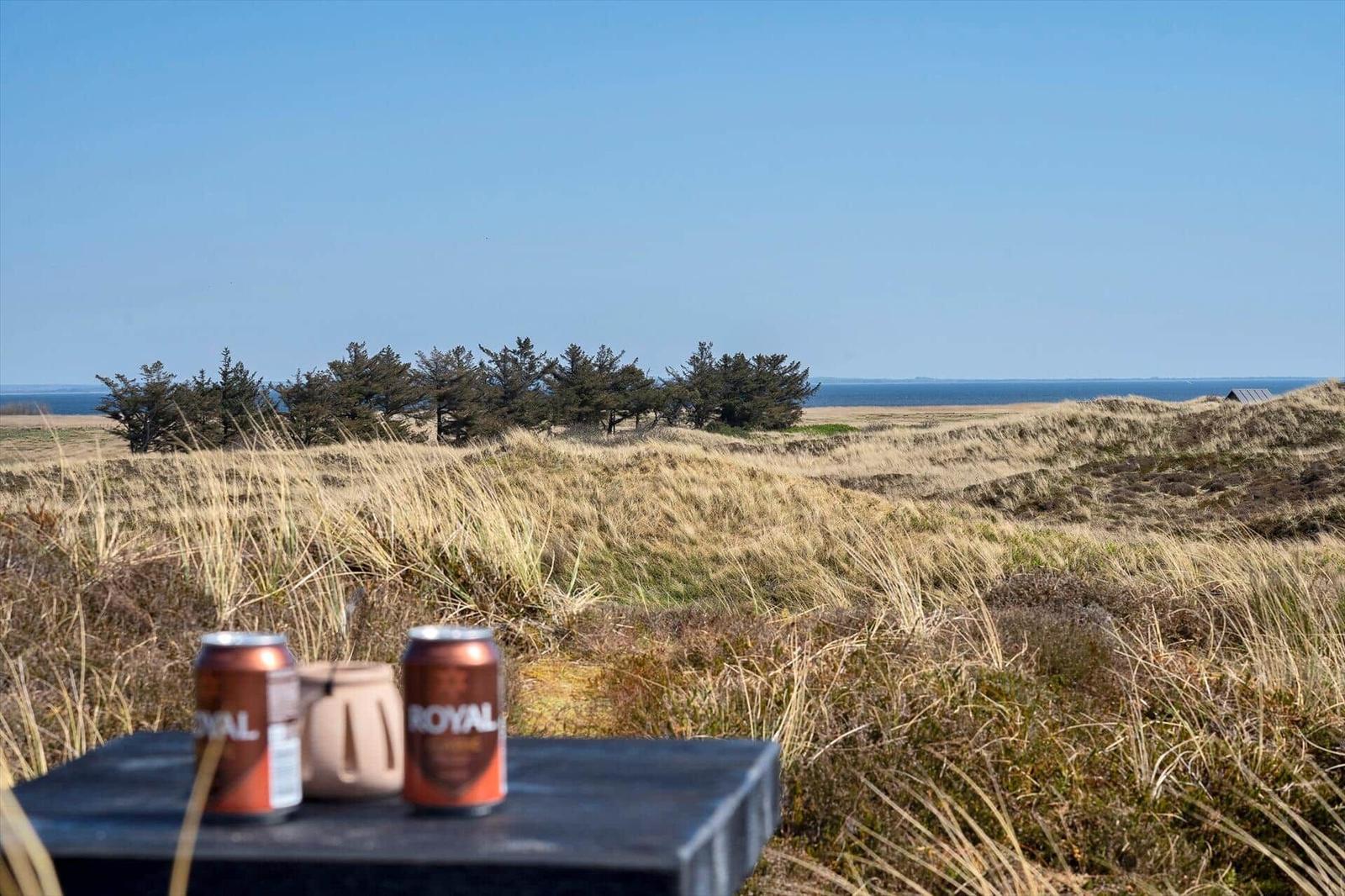 Zwei Getränkedosen auf einer Bank mit Blick auf Dünen und Meer.
