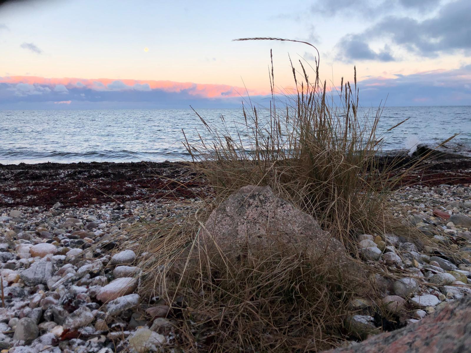 Magische Sonnenaufgänge - Strand Bojendorf 3km entfernt