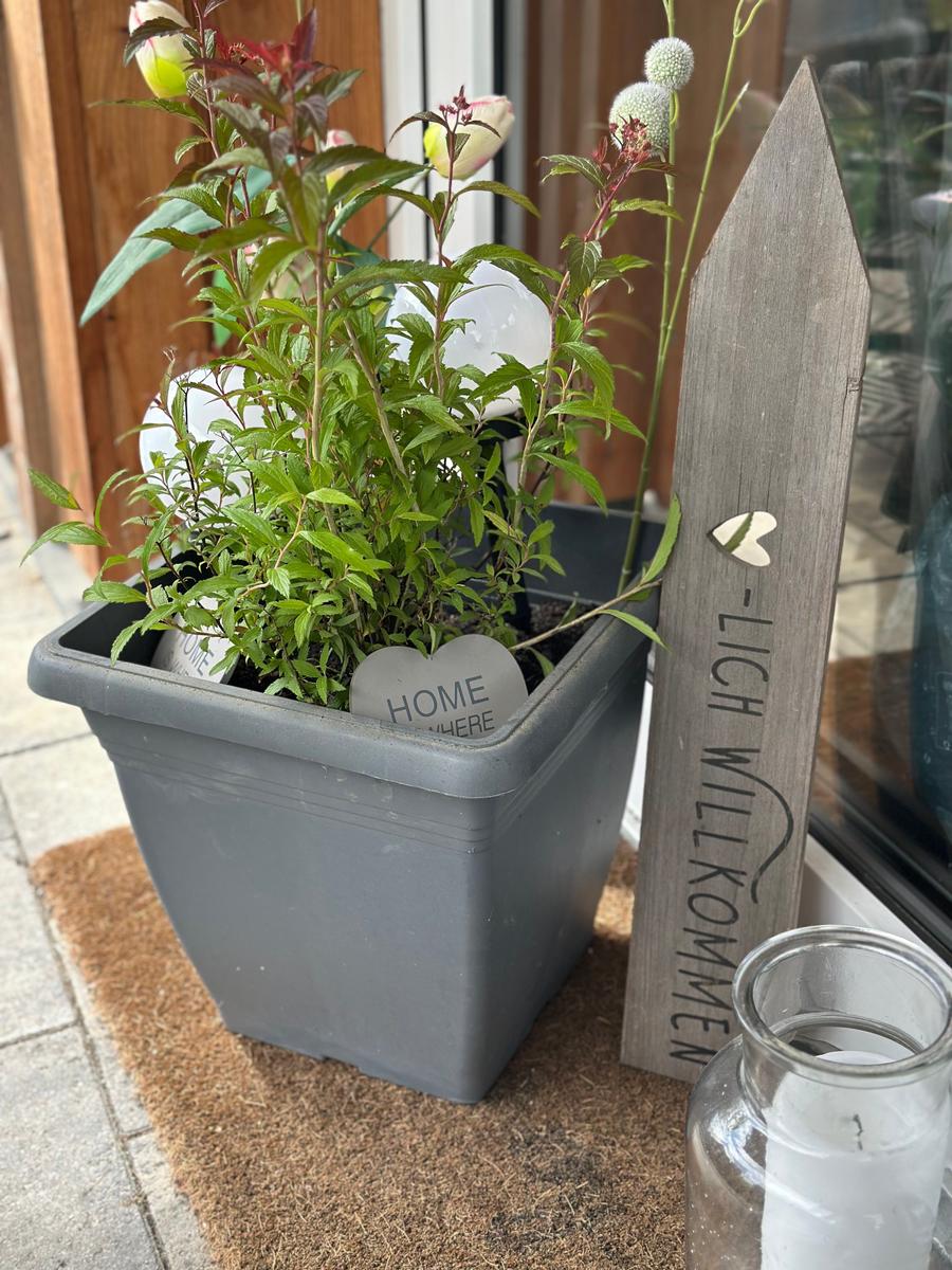 Pflanze in Topf neben Holzschild mit Willkommensgruß