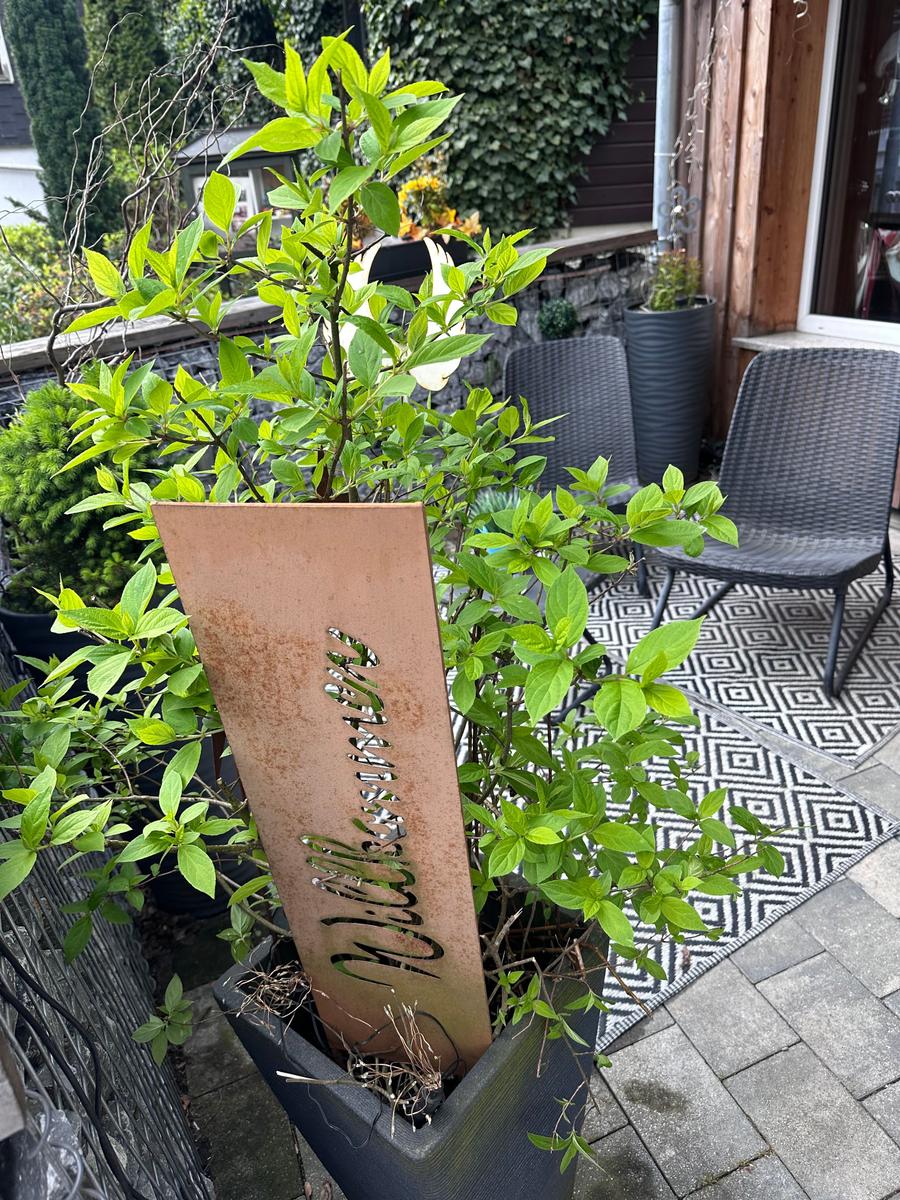 Terrasse mit Pflanzen und Sitzgelegenheiten. Holzschild mit Schriftzug.