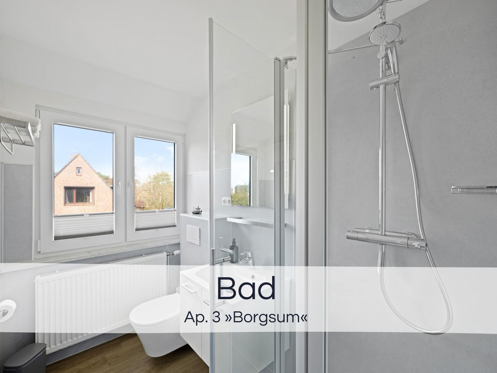 Badezimmer mit Dusche, Toilette und Fenster zur Aussicht.