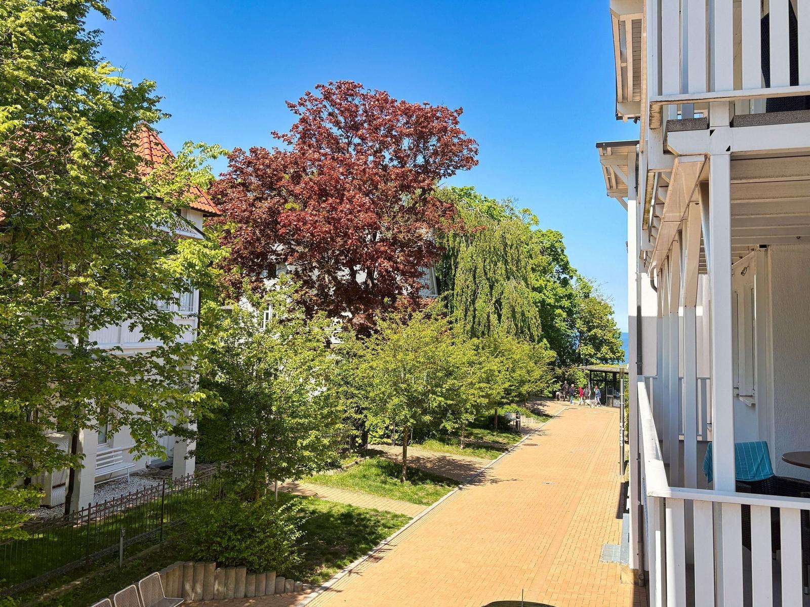 Ein Blick auf einen gepflasterten Weg zwischen weißen Gebäuden und Bäumen unter blauem Himmel.