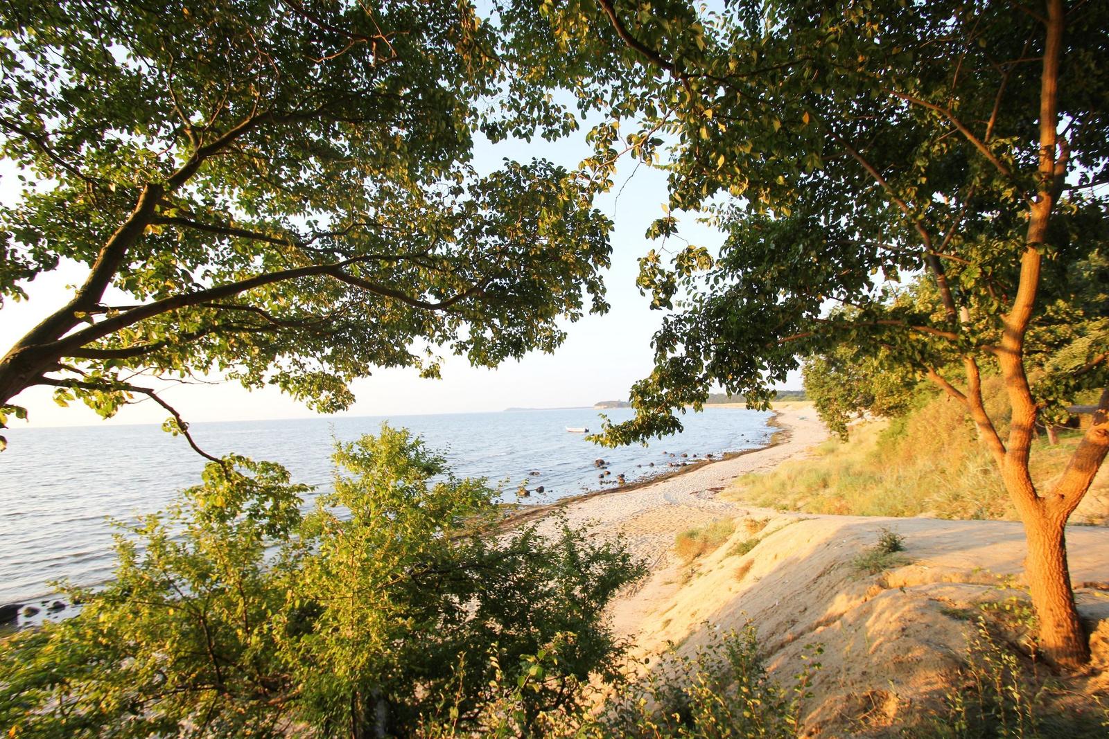 Strand unter Bäumen mit Blick aufs Wasser