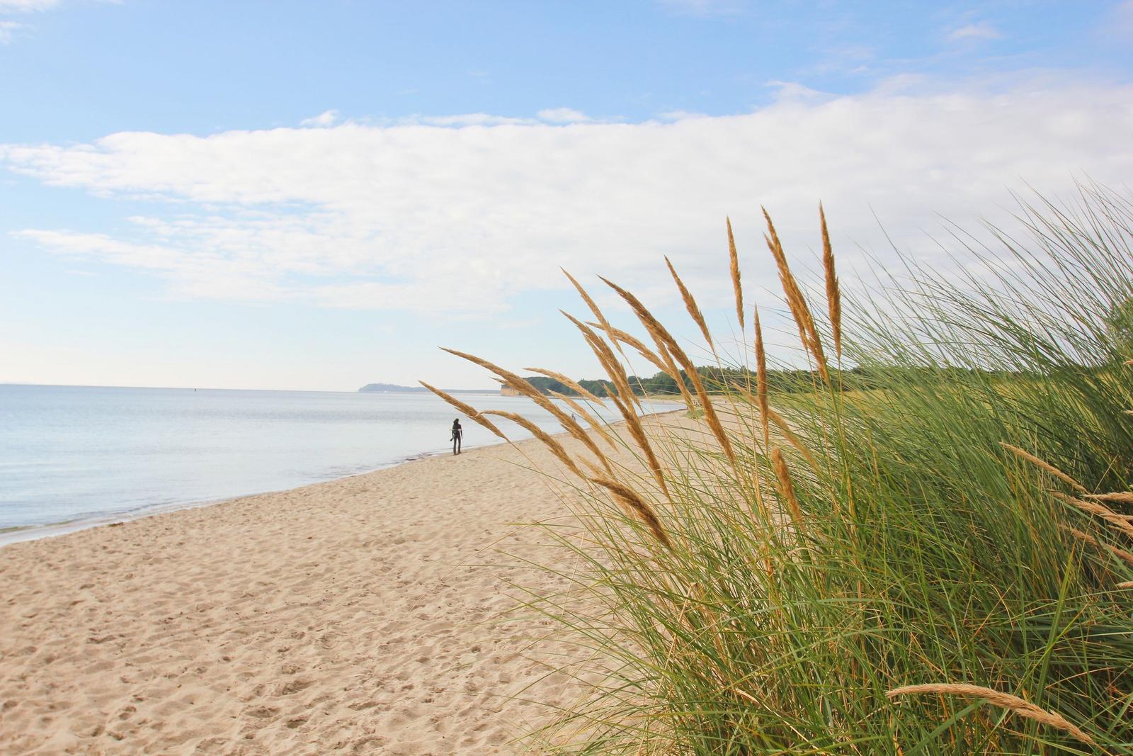 Strand mit Dünen gras und einem Menschen in der Ferne.