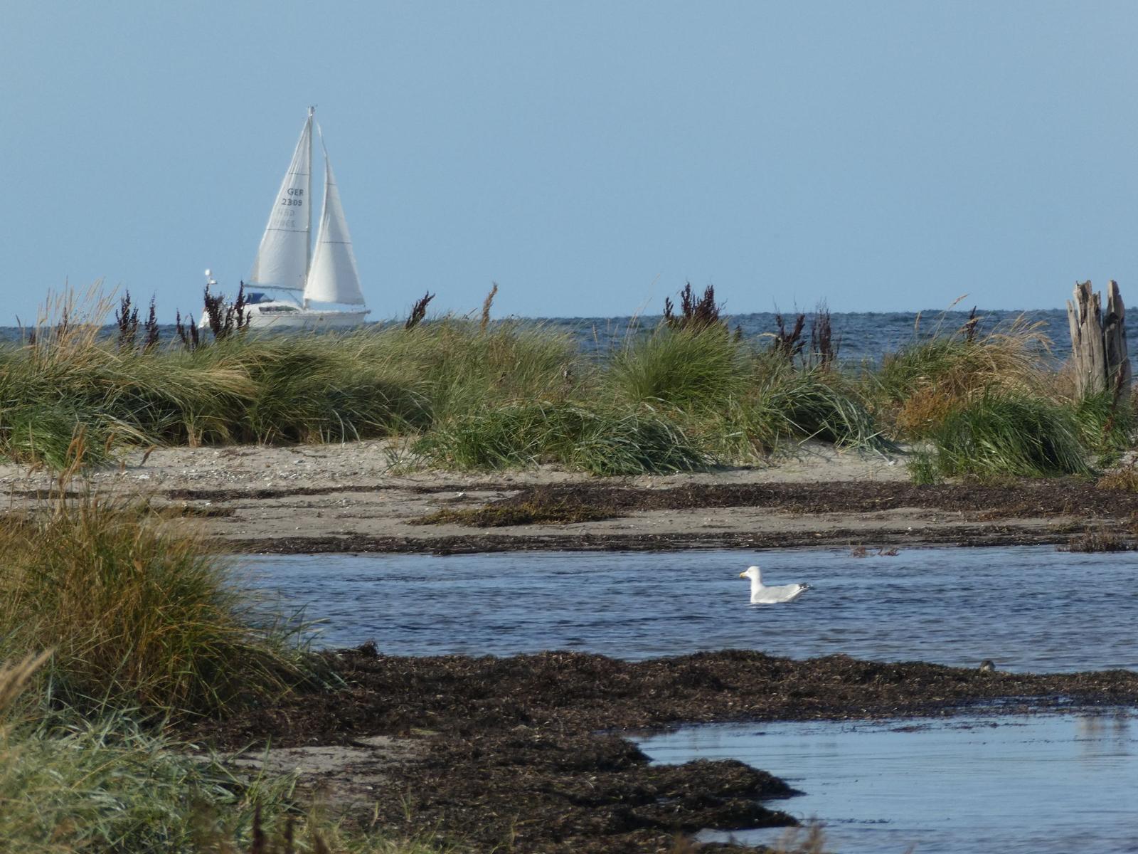 Landschaft