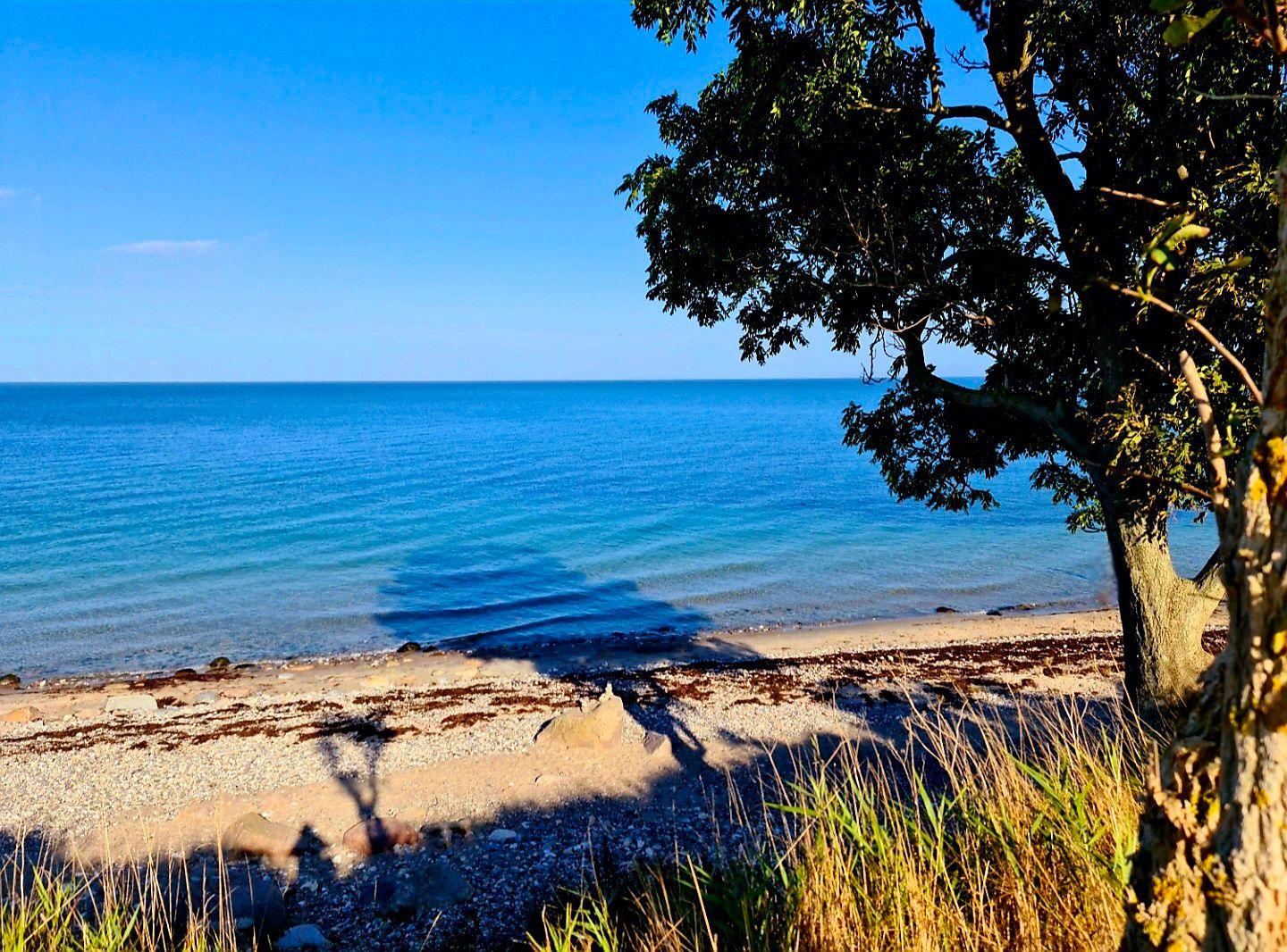Steilküste bei Staberhuk auf Fehmarn mit traumhaftem Meerblick und natürlicher Ostseeidylle.