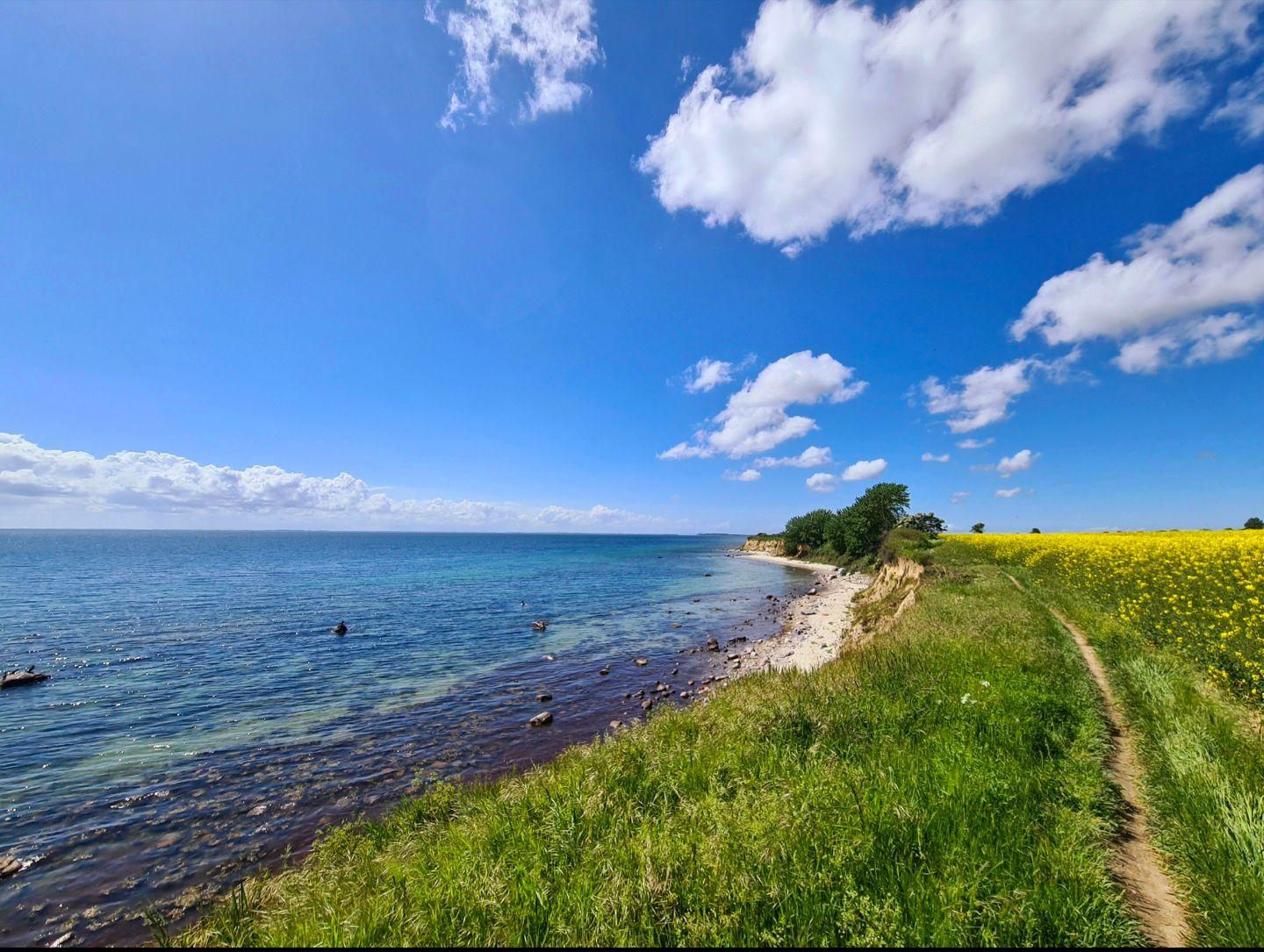 Naturbelassene Küstenlandschaft bei Staberhuk auf Fehmarn mit weitem Blick über die Ostsee.