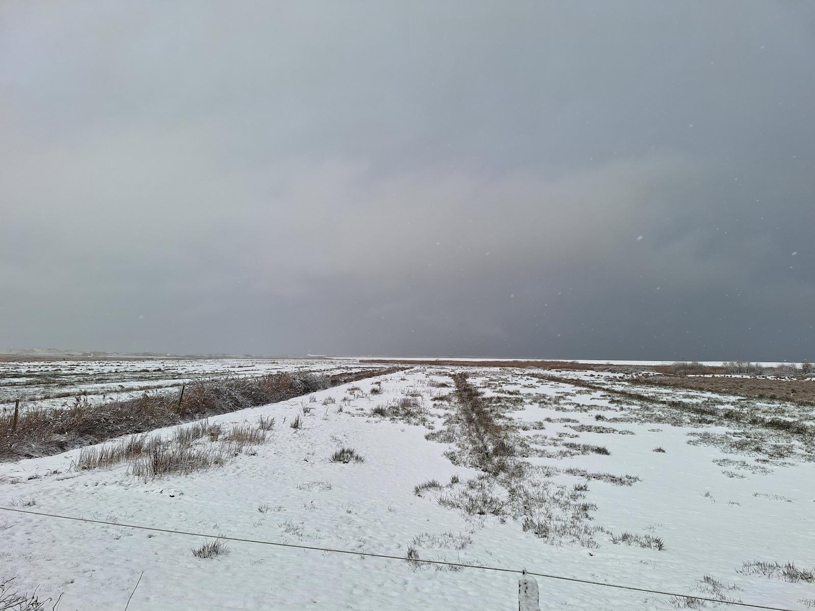 Amrum im Winter